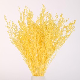 Dried Flowers Bouquet, Dry Caspia Flower Bundle, Floral Lavender, Babys Breath Flowers Arrangements for Wedding Decor, Door Wreath, Home Party Table Vase Decoration (Yellow, 17'')