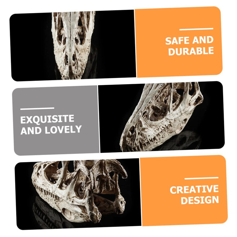 VILLFUL Unique Dinosaur Skull Model Skull Specimen Attractive Design for
