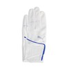 PUMA Golf Gloves Golf Super Leather Touch Gloves (Left Hand),