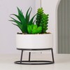 AMOYINC 3 Packs Artificial Plants & Greenery with Ceramic Planters,