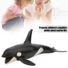 Animal Model, Plastic Similation Animals Figures Killer Whale Shape Model