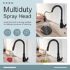 APLusee Kitchen Faucet Spray Head Pull Down, 2 Modes Sprayer