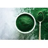 myvial® Organic Spirulina Powder 250 g - Spirulina Platensis Vegan