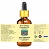 Devprayag Pure Onion Essential Oil (Allium cepa) with Glass Dropper