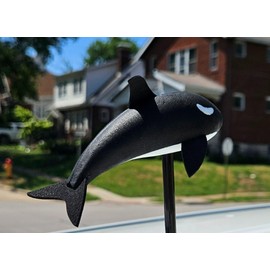 Coolballs Cooltoppers Cool ORCA Whale Car, Truck, SUV Antenna Topper (Auto Accessory) (Limited Edition)