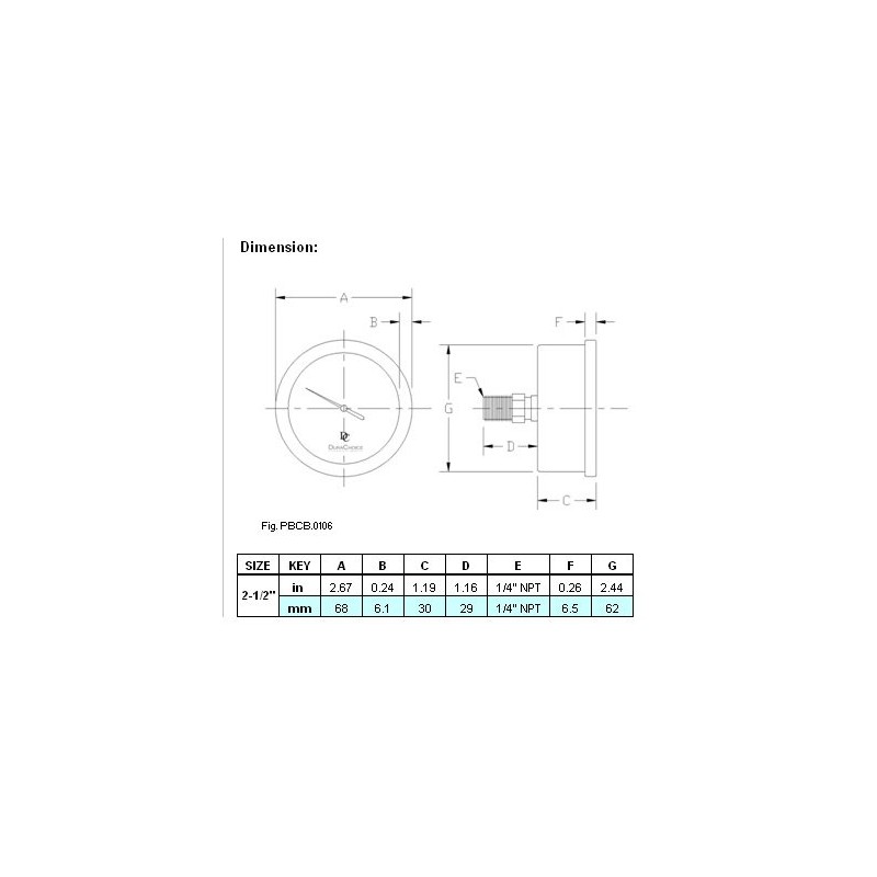 2-1/2" Liquid Filled Pressure Gauges - Stainless Steel Case, Brass,