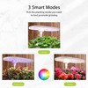 12 Pods Hydroponics Growing System, SXYCMY Indoor Garden Hydroponics Kit