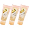 Debon 드봉 살구씨 듬뿍 살구맛사지 스크럽 클렌징 폼 120g x3개