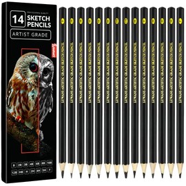 Drawing Pencils Set of 14 (B - 12B) Sketch Pencils for Drawing - Art Pencils for Shading, Sketching & Doodling | Professional Graphite Pencil for Artists & Beginners