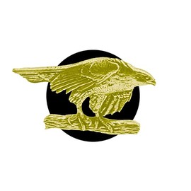 B2 Hawk CHROME GOLD COLOURED English Pewter on an Air Freshener fits on a Vent Clip Kit Decoration