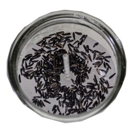 CEB 4 Veladoras Esotéricas Santa Muerte Blanca