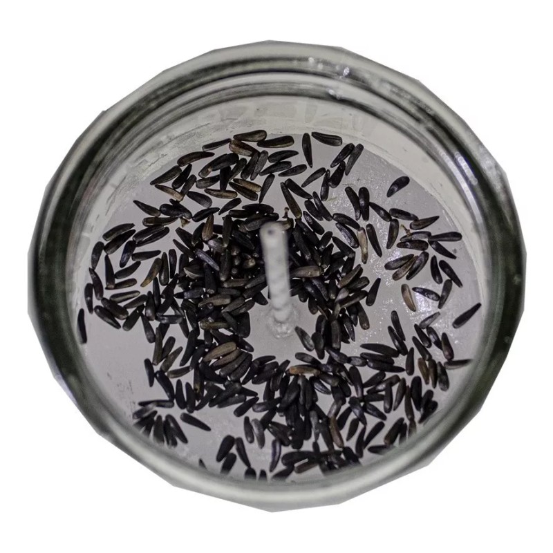 CEB 4 Veladoras Esotéricas Santa Muerte Blanca