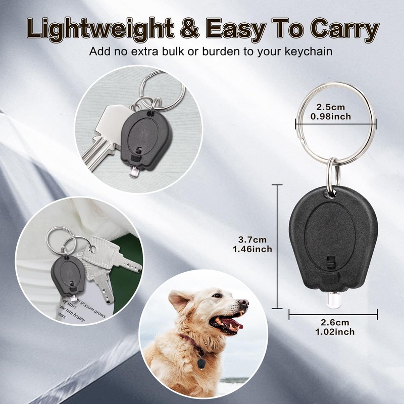 RaySoar 6 Pack Ultra Bright Mini LED Keychain Flashlight, Small