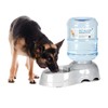 Whimsicalfox Pet Water Dispenser for Large Dogs and Multi-Pet, 3