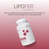 nutriADN IRON SUPPORT - Hierro Suplemento 90 Dósis (3 Meses)
