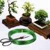 PATIKIL Bonsai Training Wire 1.0mm/1.5mm/2.0mm/2.5mm/3.0mm, 5 Roll Floral Wire Stems