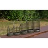 Preston Distance cage Feeder L 70gr