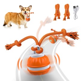 Salodal Peppy Pet Ball for Dogs, Dog Interactive Toys,Motion Activate Rolling Ball for Puppy/Small Dogs, Automatic Moving Toy,USB Rechargeable