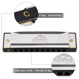 EASTROCK Blues Harmonica with 10 Hole C Key with Case Diatonic Harmonica for Professional Players Beginners Students Gifts for Adults Friends Silver