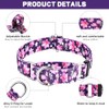 Hikiko - Collar de martingala para perros sin hebilla, collar