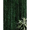 Computer Matrix Style Lines of Code Wall Mural. Green and