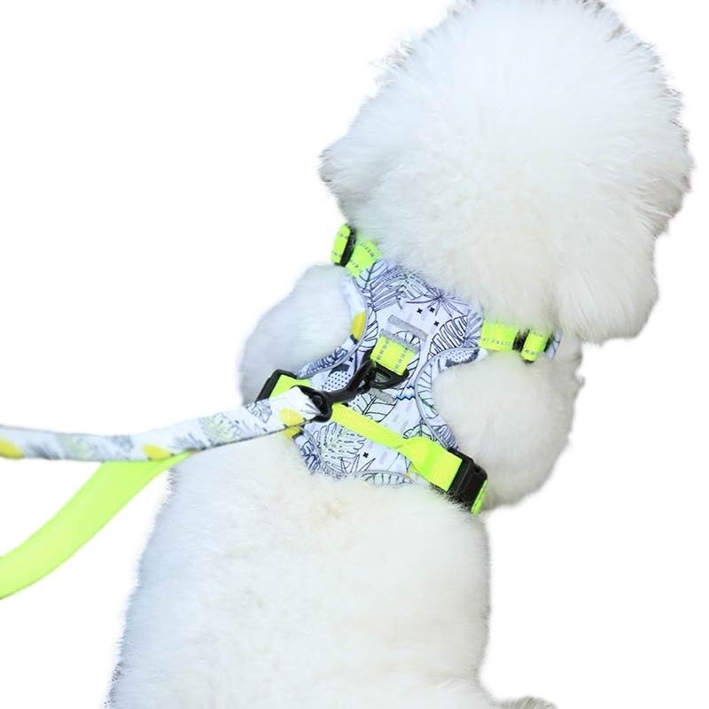 Maychan No PULL Nature Walk Harness NO PULL HARNESS Dog