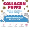 Icelandic+ Collagen Puffs: Baked Beef Collagen with Cod Skin 1.3oz