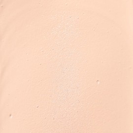 Palladio Full-Coverage Colour Correction CC Cream, Oil-Free with Peptides & Vitamin C, Best for Correcting Redness and Unevenness in the Skin, Buildable Foundation Coverage (Fair 11N)