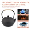 SECHUDO Japanese Tetsubin Cast Iron Teapot Tea Kettle pot with