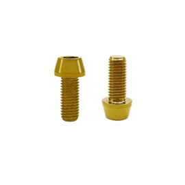 RISON - Tornillos de titanio Ti Bolt M5 x 0.8 x 15, cabeza hexagonal cónica, 5 piezas, tornillo de cabeza hexagonal de titanio dorado para vástago de bicicleta
