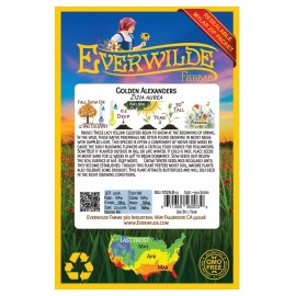 EVERWILDE FARMS 500 Golden Alexanders Wildflower Seeds - Everwilde Farms Mylar Seed Packet
