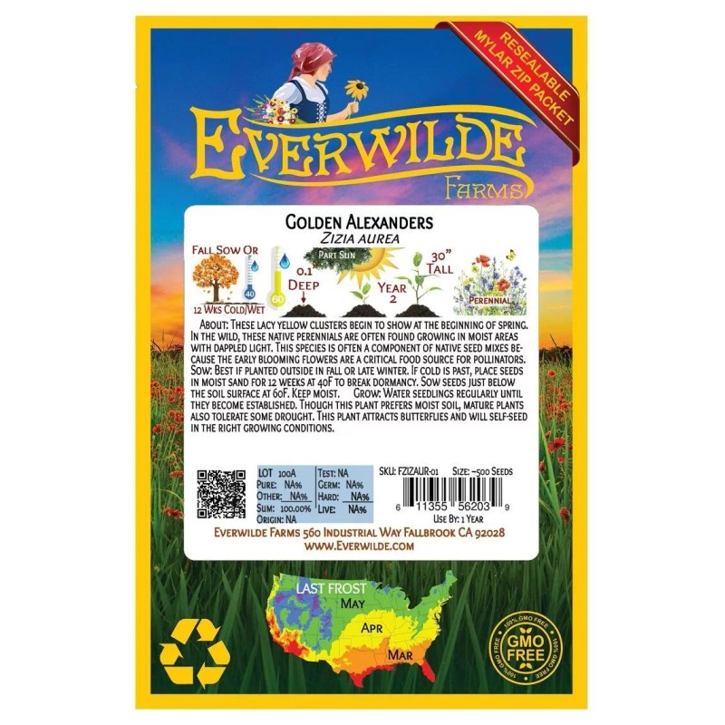 EVERWILDE FARMS 500 Golden Alexanders Wildflower Seeds - Everwilde Farms