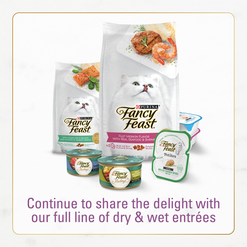 Fancy Feast Dry Cat Food with Savory Chicken and Turkey