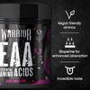 Warrior EAA - Essential Amino Acids - 360g - Provides