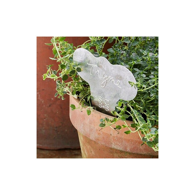 Burgon & Ball Sophie Conran Metal Herb Labels 6-Piece Set,