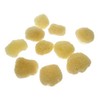 HSD Natural Artists Sea Sponge Pack of 10 Fine Texture