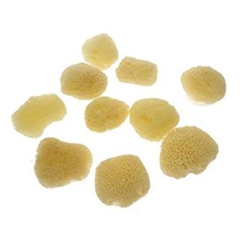 HSD Natural Artists Sea Sponge Pack of 10 Fine Texture Watercolour Painting