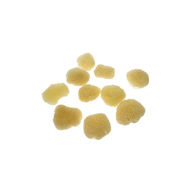 HSD Natural Artists Sea Sponge Pack of 10 Fine Texture