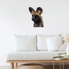Extra Large 460mm 'African Wild Dog Face' Permanent Sticker Decal