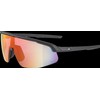 ALPINA Turbo Pro Q-Lite Sports Glasses for Adults, Matte Black,
