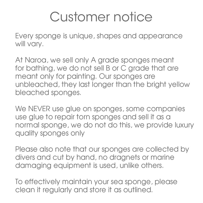Naroa Natural Baby Sponge | Soft Sea Wool Unbleached Bath