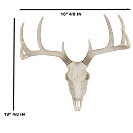 Ebros 18.5"L 10 Point Buck Head Wall Mount Resin Stag Deer Skull Antler Rack Bust Hunting Cabin or Lodge Decor Skull Antlers Home Accent