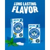 Milliways Mighty Mint | Plastic Free Gum | Xylitol, Aspartame-Free,