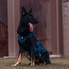 OneTigris AIRE Mesh Tactical Dog Harness No Pull Tactical Dog