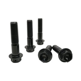 RISON Titanium Bolts M10 x 1.25 x 60 mm Titanium Flange Screws TC4 Titanium Screws Hex Screw Black GR5 Titanium Bolts Pack of 5