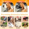 UBERMing Muzzle for Dogs, Breathable, Soft Mesh Muzzle, Feeding Protection,