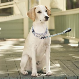 Bbmmayy Martingale Collar, Training Dog Collar, Stainless Steel Chain Pet Collar for No Pull Dog Walking Flowers Design Large Medium Small Dogs (M, Green)