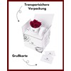 Mia Milano Rose Box with Infinity Roses, Valentine's Day Gift,
