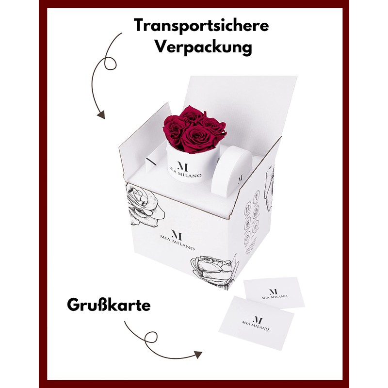 Mia Milano Rose Box with Infinity Roses, Valentine's Day Gift,