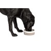 FatFace Marching Dogs Pet Bowl For Dogs
